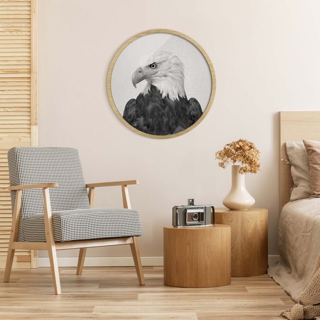 Indrammede plakater dyr Sea Eagle Socrates Black And White