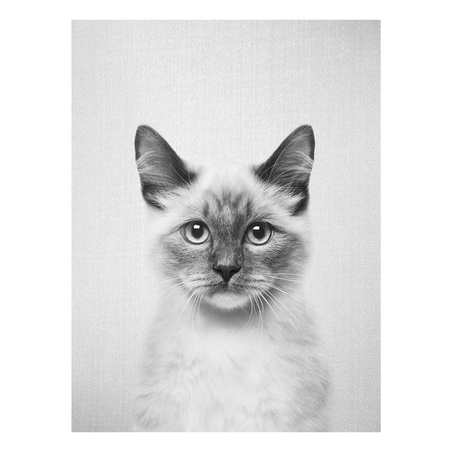 Billeder moderne Siamese Cat Sibylle Black And White
