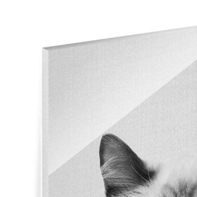 Billeder Gal Design Siamese Cat Sibylle Black And White