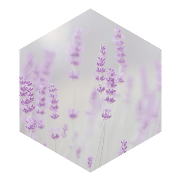 Billeder Monika Strigel Summer In A Field Of Lavender