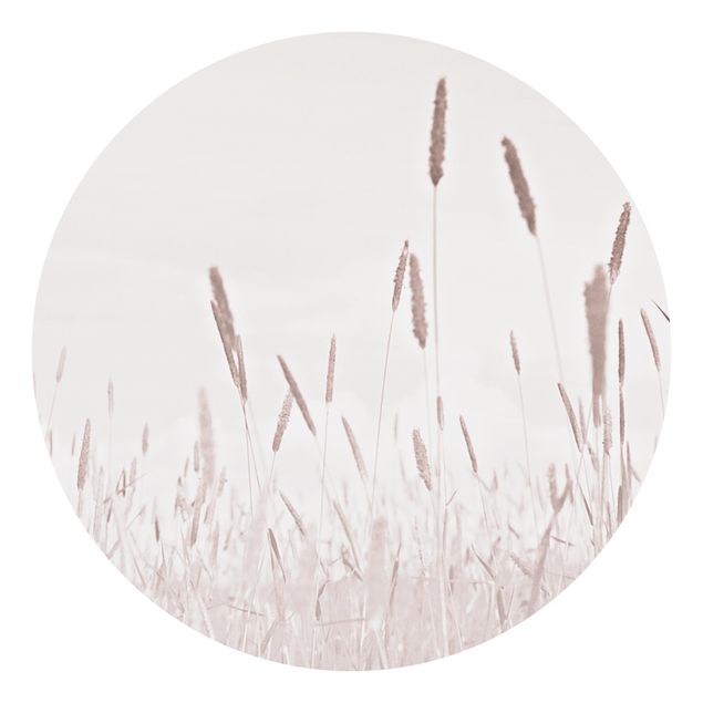 Moderne tapet Summerly Reed Grass
