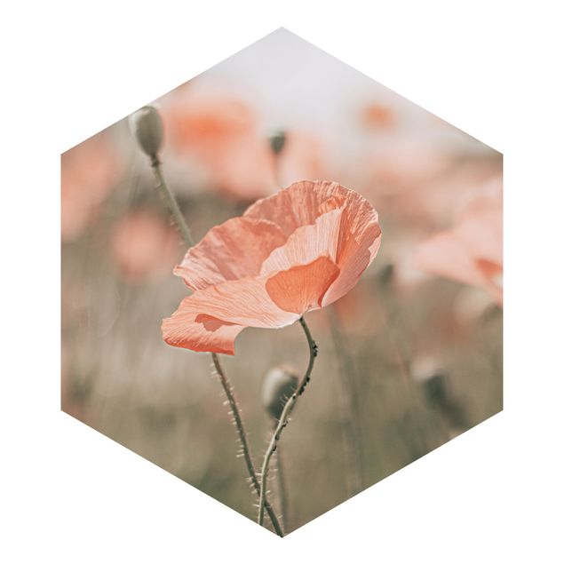 Billeder Monika Strigel Sun-Kissed Poppy Fields