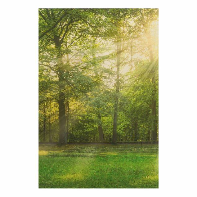 Prints på træ landskaber Walk In The Woods