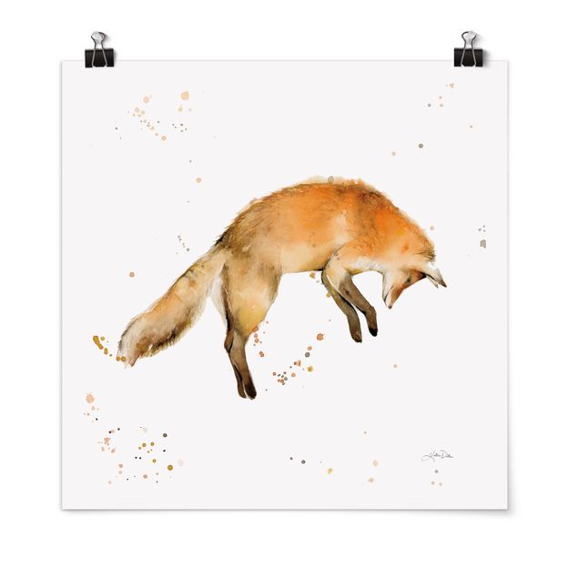 Billeder dyr Leaping Fox
