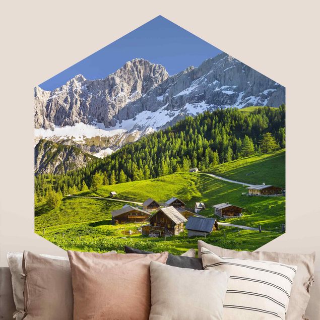 Fototapet bjerge Styria Alpine Meadow