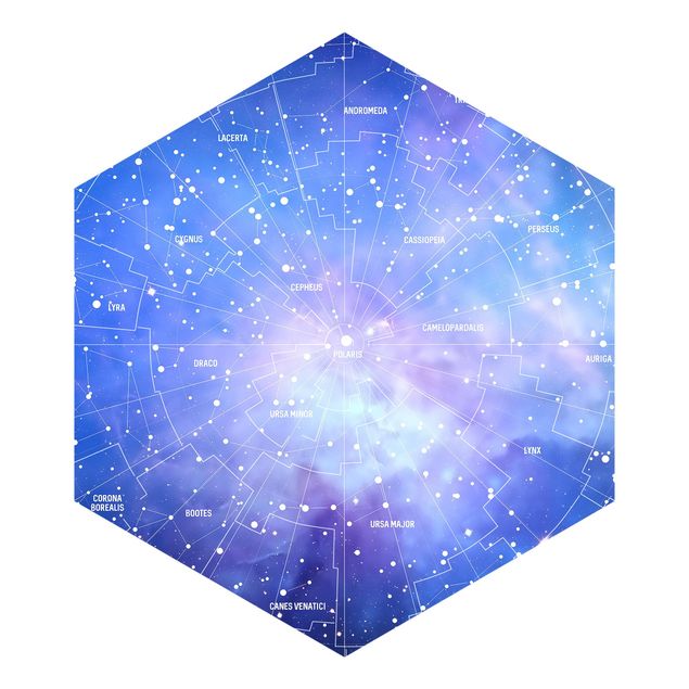 Fototapet grå Stelar Constellation Star Chart