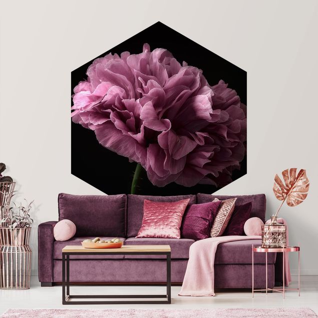 Fototapet blomster Proud Peony In Front Of Black