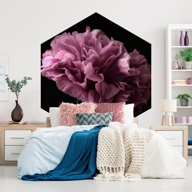 Moderne tapet Proud Peony In Front Of Black