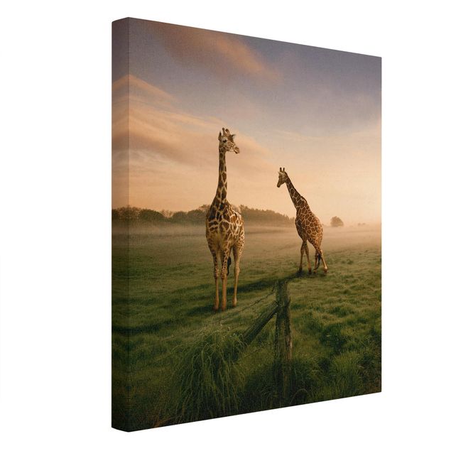 Billeder på lærred landskaber Surreal Giraffes