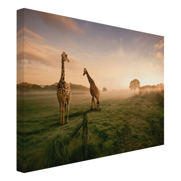 Billeder på lærred landskaber Surreal Giraffes