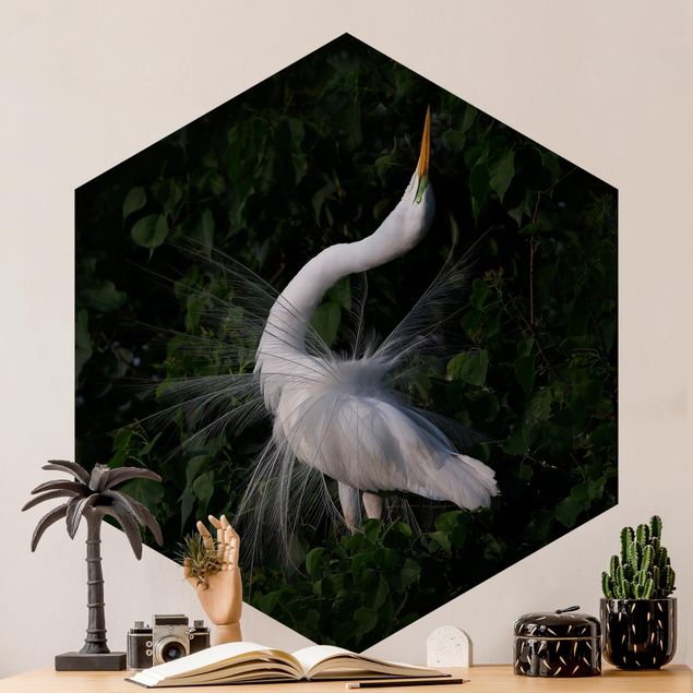 Fugle tapet Dancing Egrets In Front Of Black
