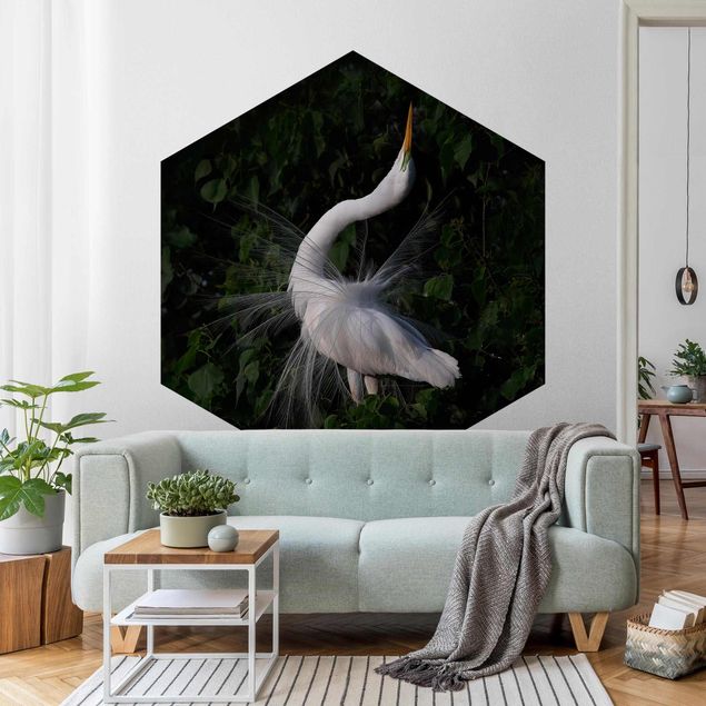 Moderne tapet Dancing Egrets In Front Of Black