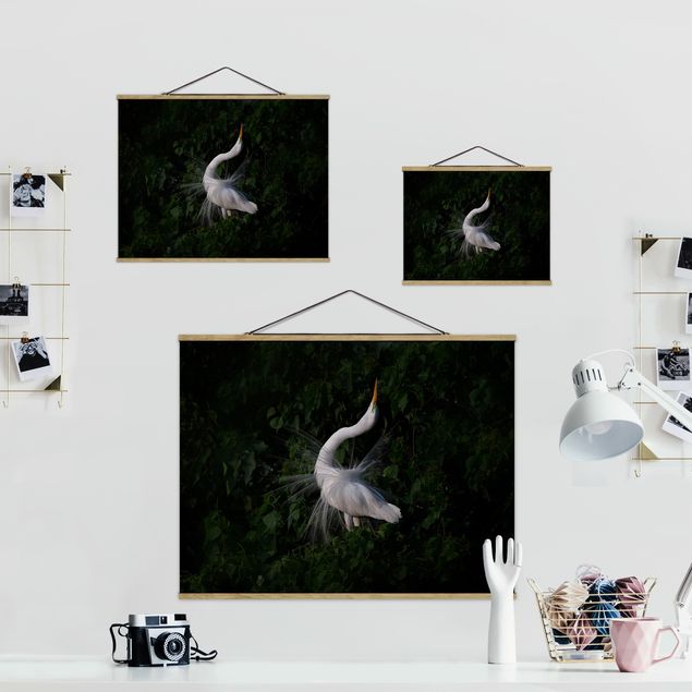 Stofbilleder Dancing Egrets In Front Of Black