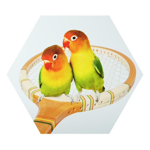 Prints på aluminium Dibond Tennis With Birds