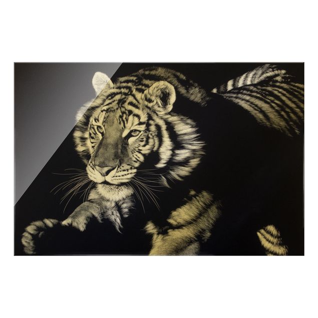 Billeder moderne Tiger In The Sunlight On Black