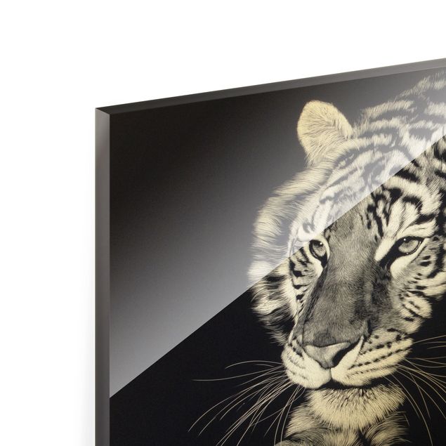 Billeder sort og hvid Tiger In The Sunlight On Black