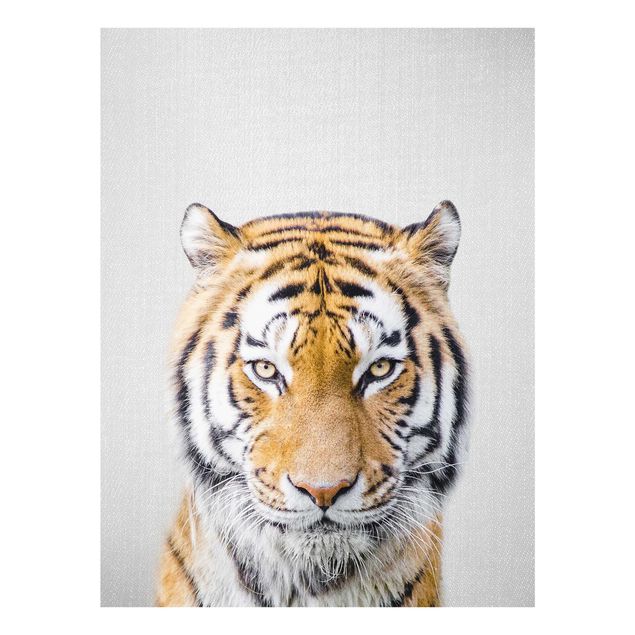 Billeder moderne Tiger Tiago