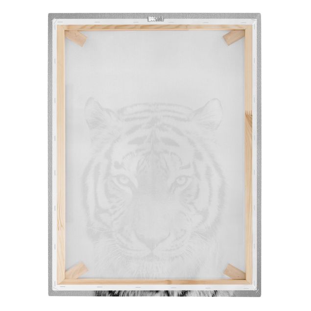 Billeder moderne Tiger Tiago Black And White