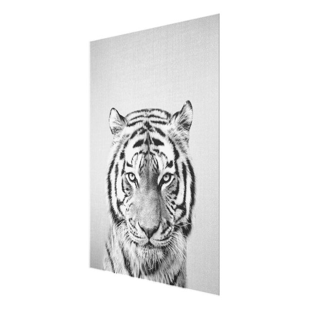 Billeder sort og hvid Tiger Tiago Black And White