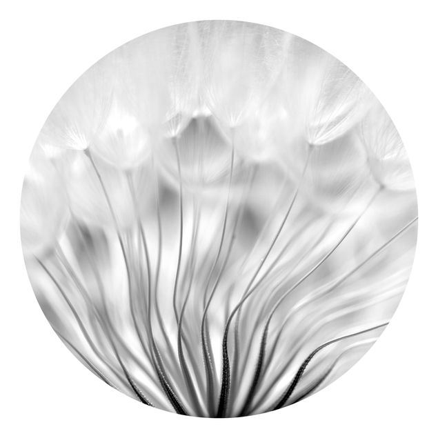 Landlig tapet Beautiful Dandelion Black And White