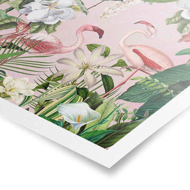 Billeder lyserød Tropical Flamingos With Plants In Pink