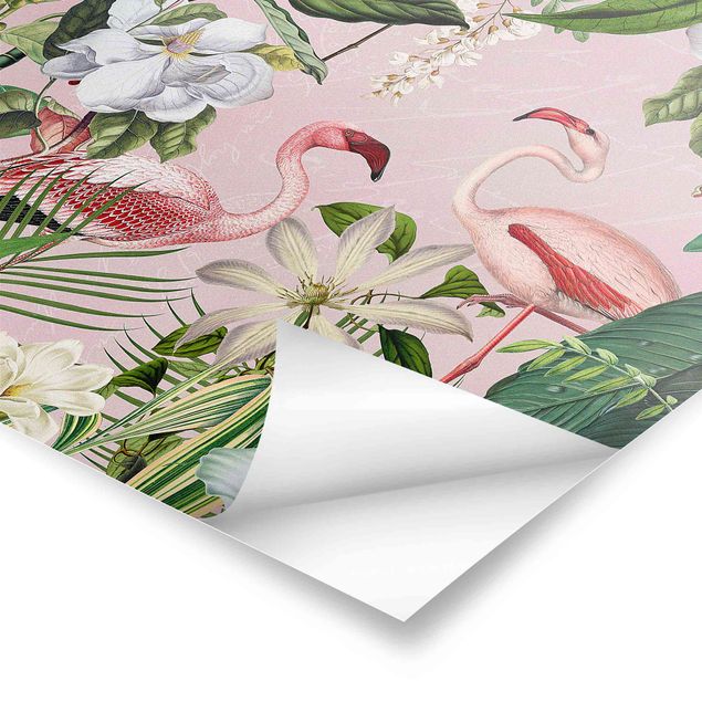 Billeder Tropical Flamingos With Plants In Pink