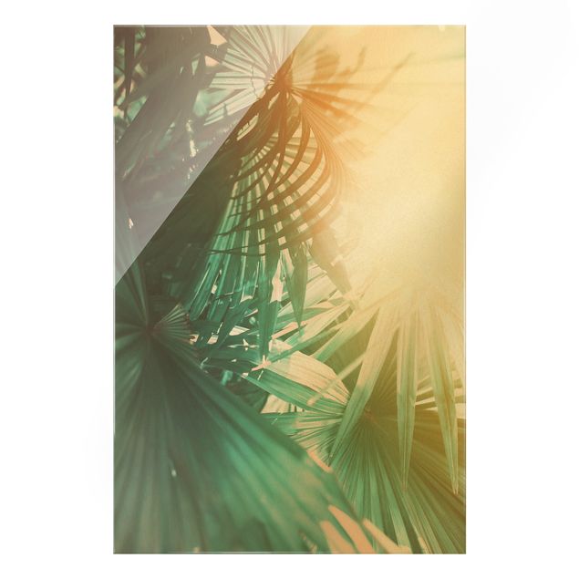 Glasbilleder blomster Tropical Plants Palm Trees At Sunset