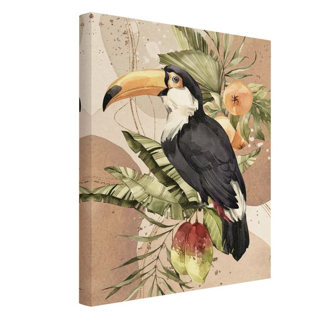 Billeder Tropical Birds - Toucan