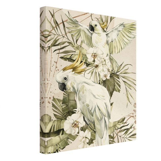 Billeder Tropical Birds - White Cockatoes