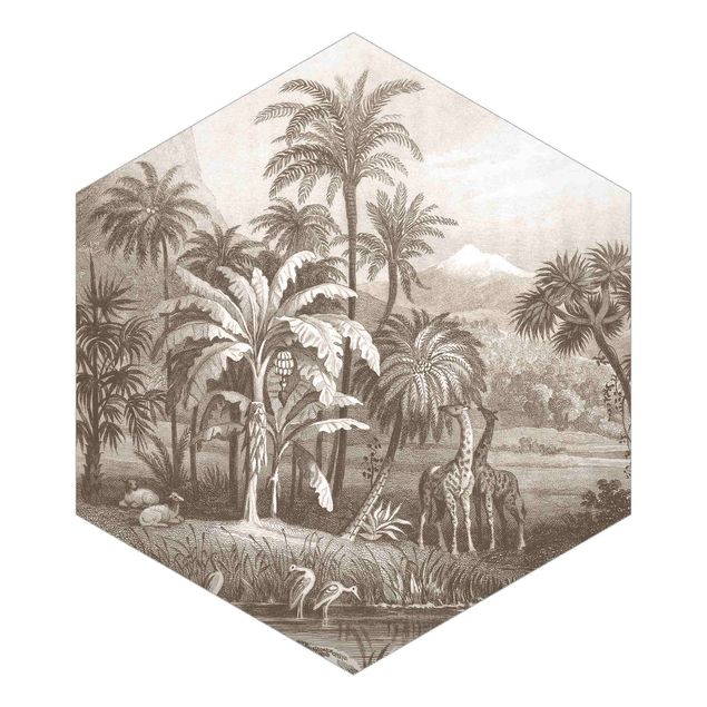 Vintage tapet Tropical Copperplate Engraving With Giraffes In Brown