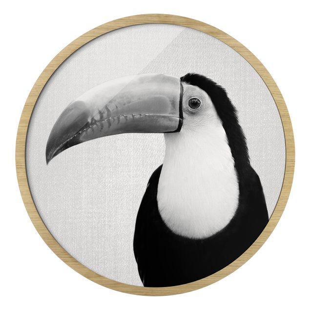 Billeder moderne Toucan Torben Black And White