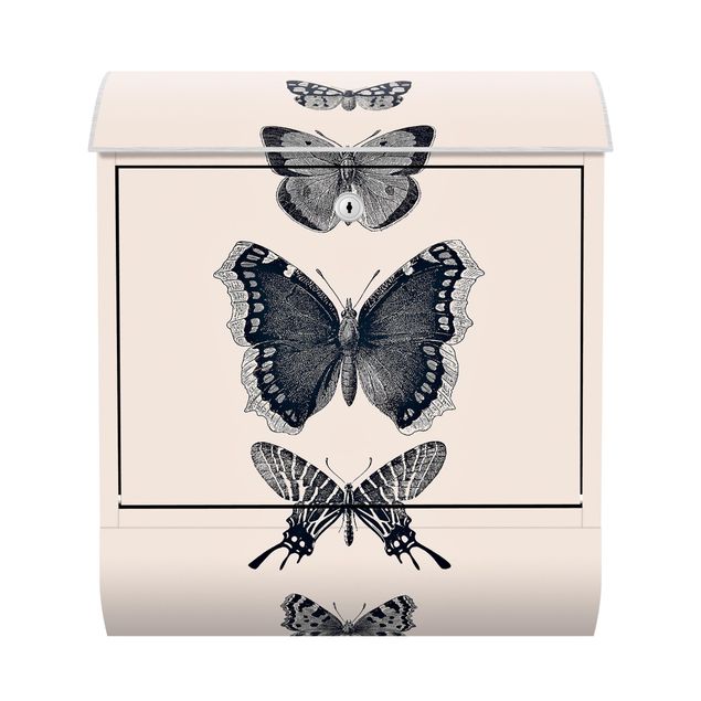 Postkasser beige Ink Butterflies On Beige Backdrop