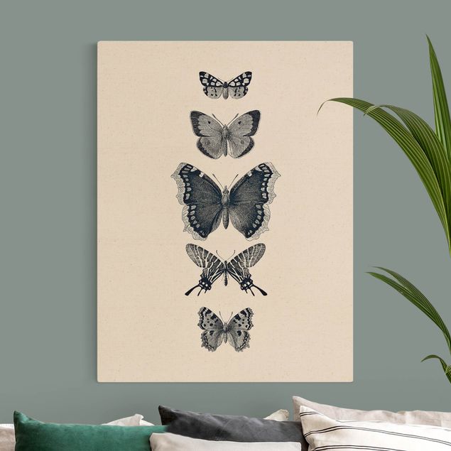 Billeder på lærred sommerfugle Ink Butterflies On Beige Backdrop