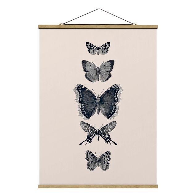 Billeder dyr Ink Butterflies On Beige Backdrop