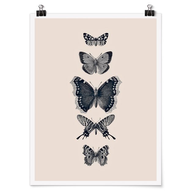 Billeder moderne Ink Butterflies On Beige Backdrop