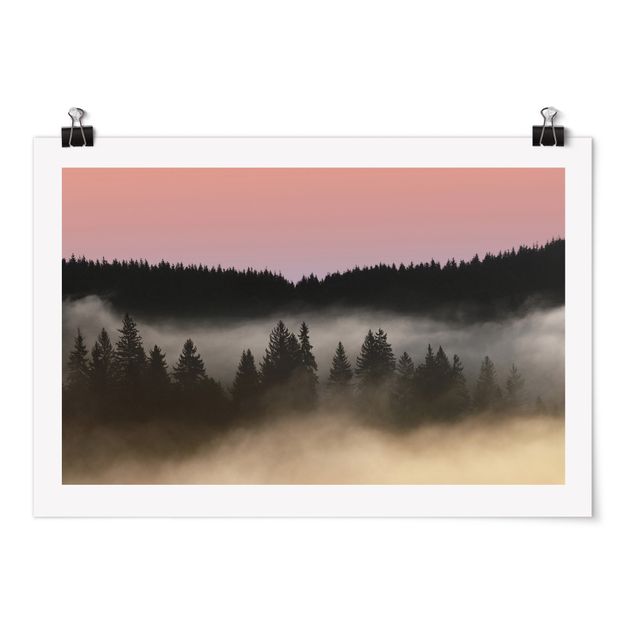 Plakater landskaber Dreamy Foggy Forest
