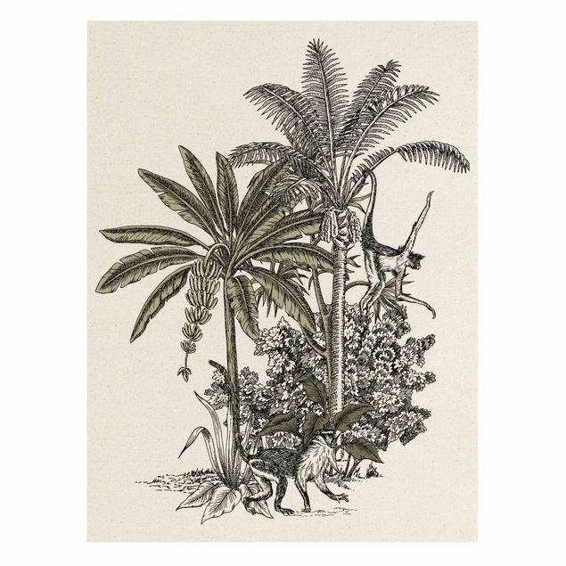 Billeder blomster Vintage Illustration - Monkeys  And Palm Trees