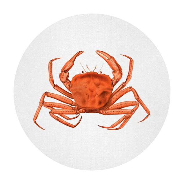 Tæpper Vintage Illustration Red Crab