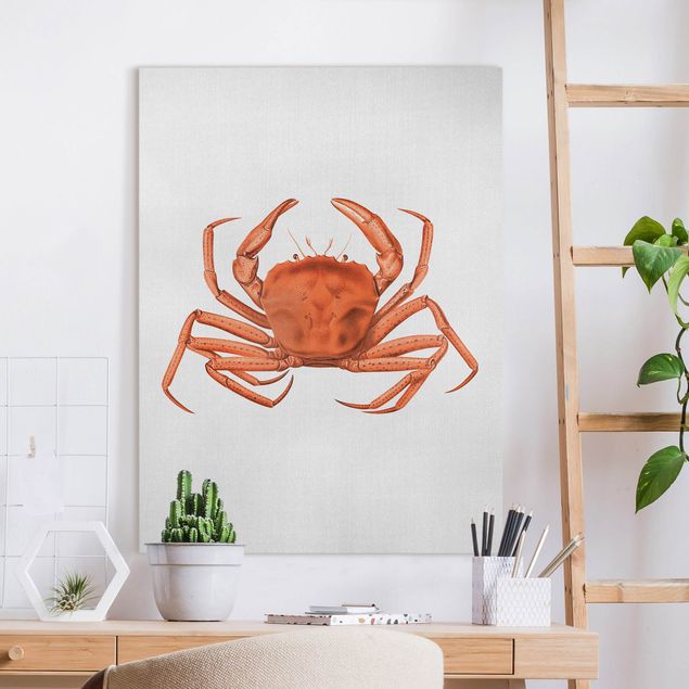 Billeder på lærred fisk Vintage Illustration Red Crab