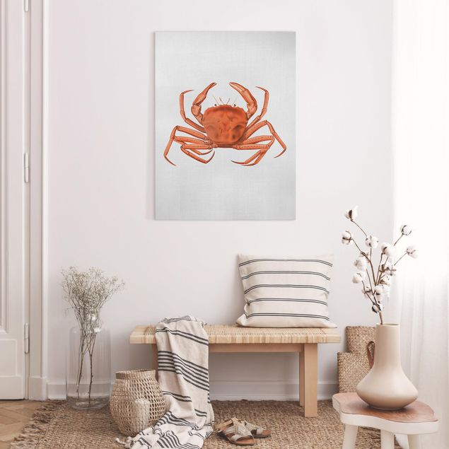 Billeder fisk Vintage Illustration Red Crab
