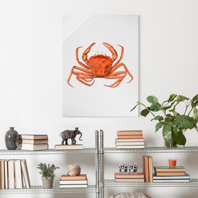 Glasbilleder landskaber Vintage Illustration Red Crab