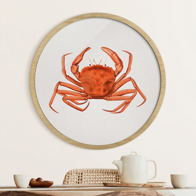 Indrammede plakater strande Vintage Illustration Red Crab