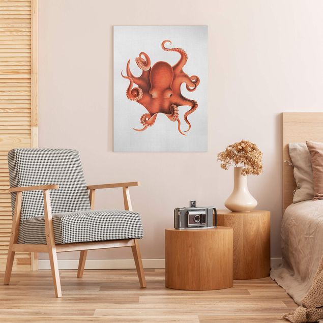 Billeder landskaber Vintage Illustration Red Octopus