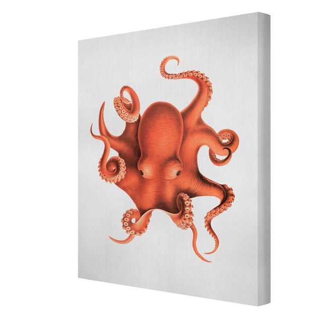Billeder på lærred landskaber Vintage Illustration Red Octopus