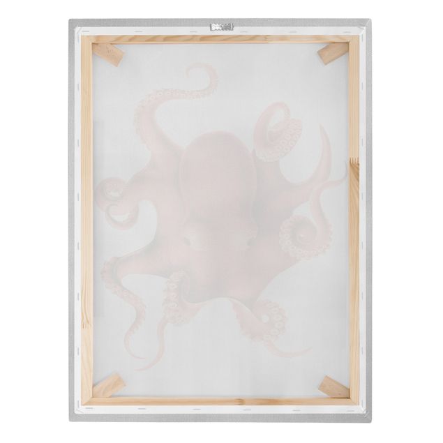 Billeder på lærred strande Vintage Illustration Red Octopus