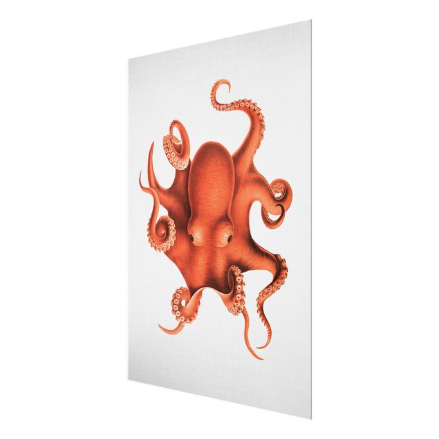 Glasbilleder strande Vintage Illustration Red Octopus