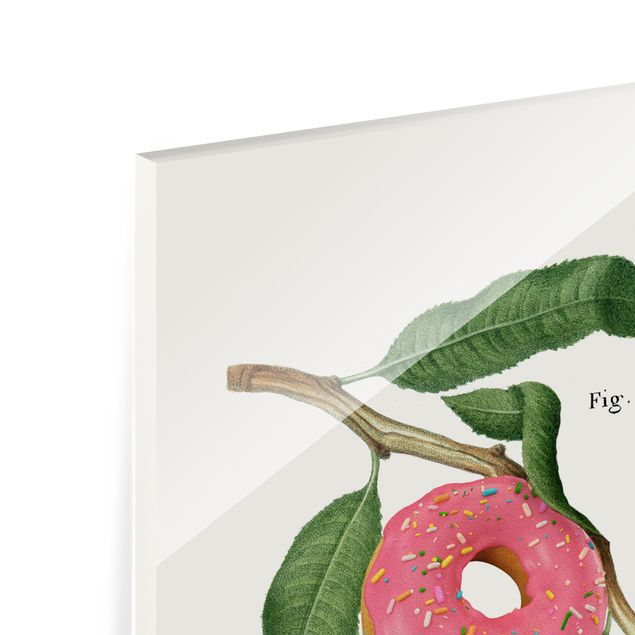Glas magnettavla Vintage Plant - Donut