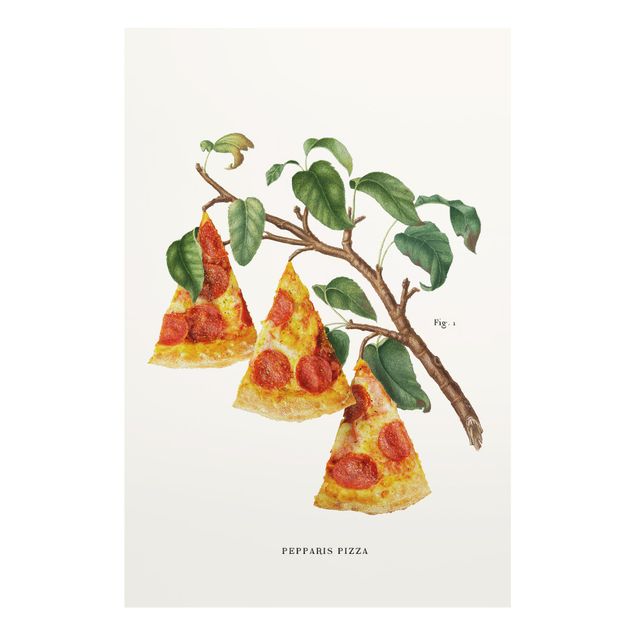 Billeder Jonas Loose Vintage Plant - Pizza