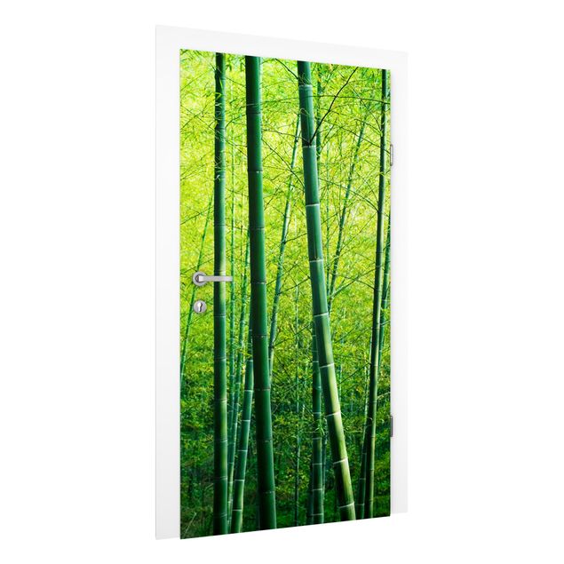 3d tapet Bamboo Forest