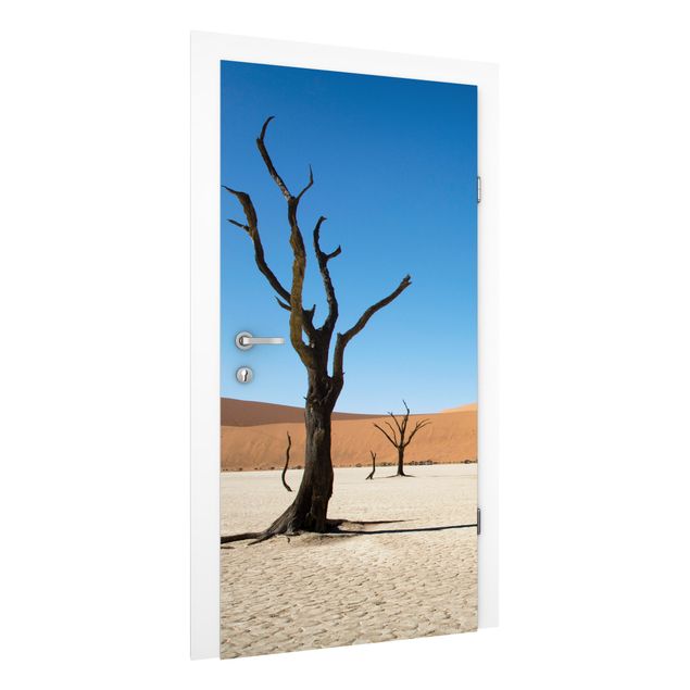 Fototapet ørkener Sossusvlei In Namibia